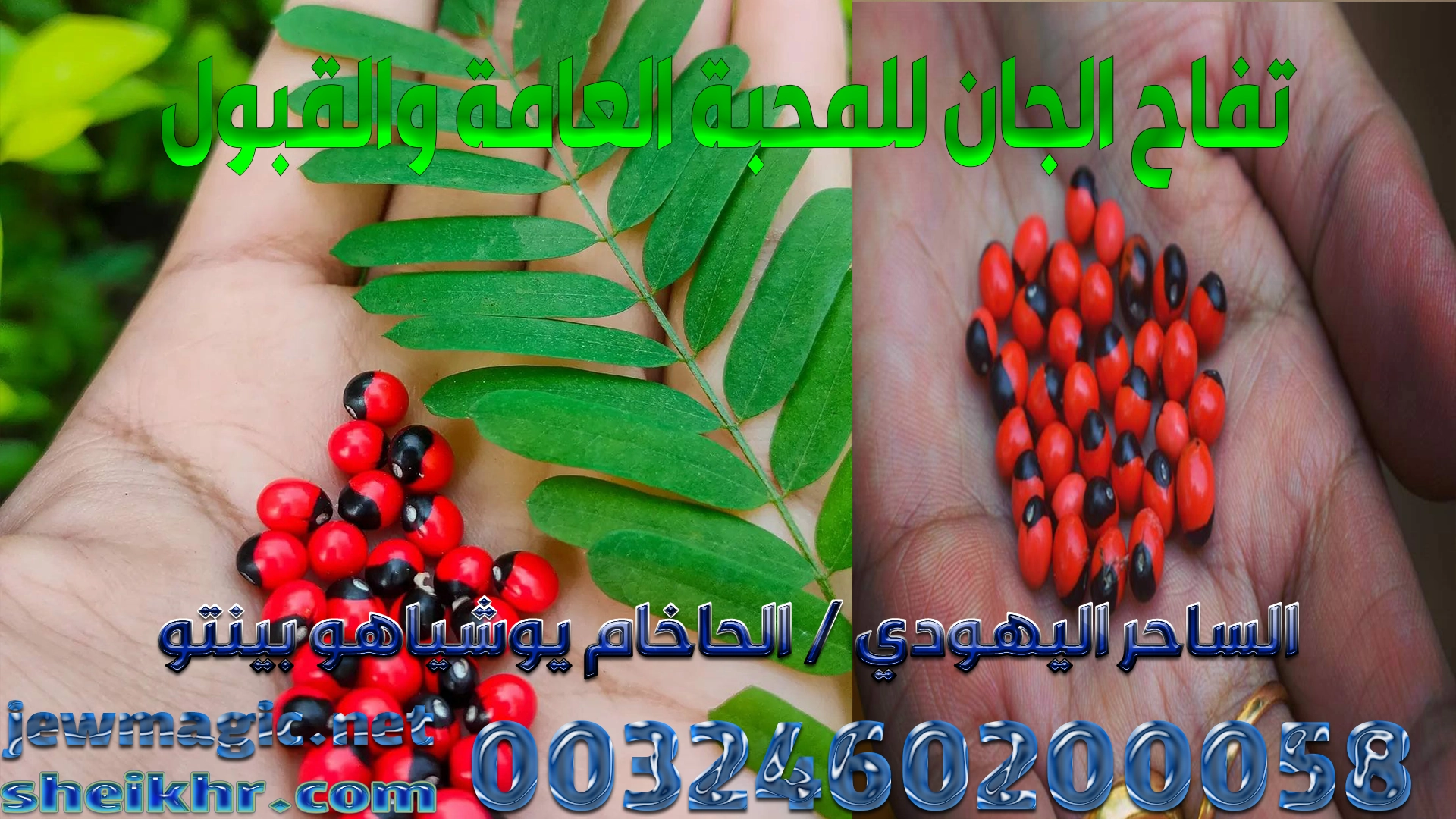 تفاح الجان للمحبة العامة والقبول