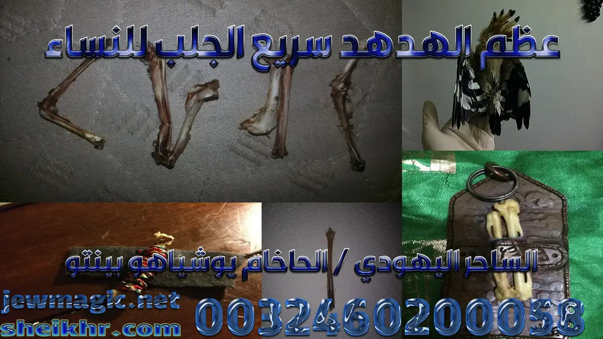 عظم الهدهد سريع الجلب للنساء